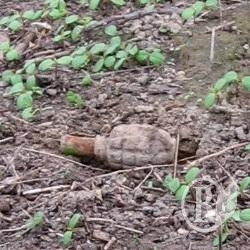 Дівчина знайшла гранату під час суботника. ФОТОрепортаж Дівчина знайшла гранату під час суботника. ФОТОрепортаж