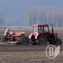 На Чернігівщині завершується сівба ярових культур На Чернігівщині завершується сівба ярових культур