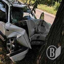 Volkswagen обняв дерево! ФОТОрепортаж
