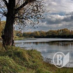 Барви осені. ФОТОрелаксація Барви осені. ФОТОрелаксація