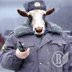 Міліціонер обібрав потерпілу на 90 гривень Міліціонер обібрав потерпілу на 90 гривень