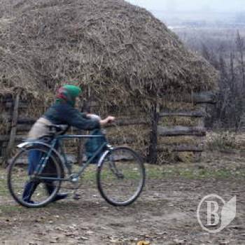 Від роботи коні дохнуть. А люди стають інвалідами Від роботи коні дохнуть. А люди стають інвалідами