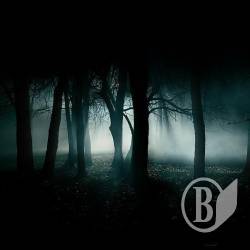 Вбито 11-річну дитину на Чернігівщині Вбито 11-річну дитину на Чернігівщині