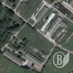 Сторож и 32 головы скота погибли во время пожара в Чернигове Сторож и 32 головы скота погибли во время пожара в Чернигове