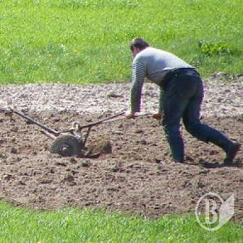 22 ������ � ������������� ���� �����