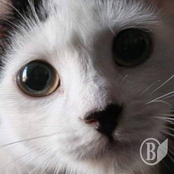 ����� ����� � ����� �������