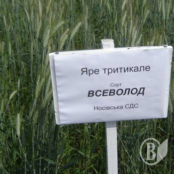 Селекціонери-селянам: Наше насіння – ваш високий врожай Селекціонери-селянам: Наше насіння – ваш високий врожай