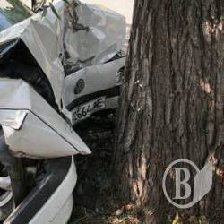 П’яний на Passat в’їхав у дерево П’яний на Passat в’їхав у дерево