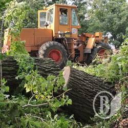 Буревій перекрив дороги на Чернігівщині. ФОТОрепортаж Буревій перекрив дороги на Чернігівщині. ФОТОрепортаж