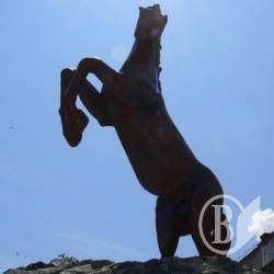 Пам’ятник коню у Конотопі. ФОТОфакт