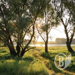 Деснянські луки. ФОТОрелаксація Деснянські луки. ФОТОрелаксація