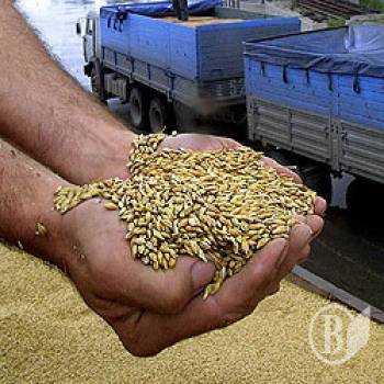 Сформовано стратегічний запас продовольчого зерна Сформовано стратегічний запас продовольчого зерна