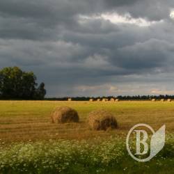 Італійці приготували Чернігівщині вхід до «Російського союзу» Італійці приготували Чернігівщині вхід до «Російського союзу»