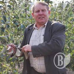 Голландський сад у Веселому Голландський сад у Веселому
