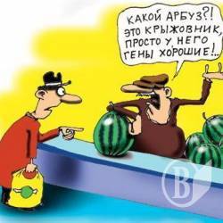 Українці їсти ГМО не хочуть Українці їсти ГМО не хочуть