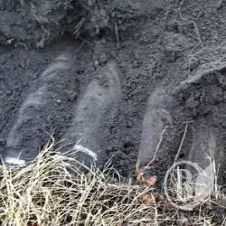 Знищено два десятки снарядів, знайдених на подвір’ї церкви Знищено два десятки снарядів, знайдених на подвір’ї церкви