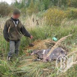Прокуратура оскаржила виділення 8,5 тисяч га мисливських угідь на Чернігівщині Прокуратура оскаржила виділення 8,5 тисяч га мисливських угідь на Чернігівщині