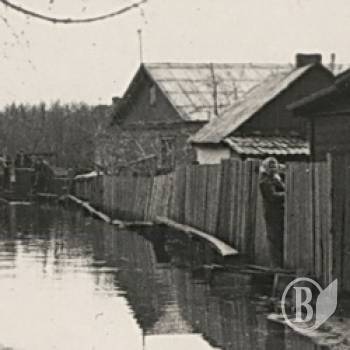 Весняна повінь-2010: повторення 1970 року не буде! Весняна повінь-2010: повторення 1970 року не буде!