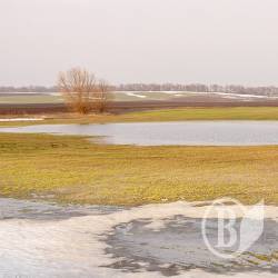 Жайворон співає, весну на поля закликає. ФОТОрелаксація Жайворон співає, весну на поля закликає. ФОТОрелаксація