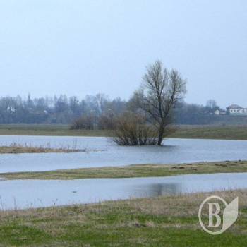 На великих річках Чернігівщини вода прибуває На великих річках Чернігівщини вода прибуває