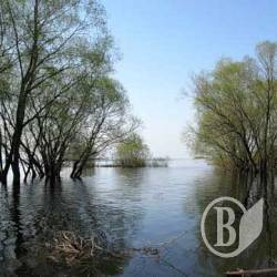 Весняна повінь: Міліція готова ловити мародерів Весняна повінь: Міліція готова ловити мародерів