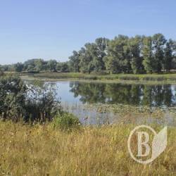 Нові природно-заповідні об’єкти створено на Чернігівщині Нові природно-заповідні об’єкти створено на Чернігівщині