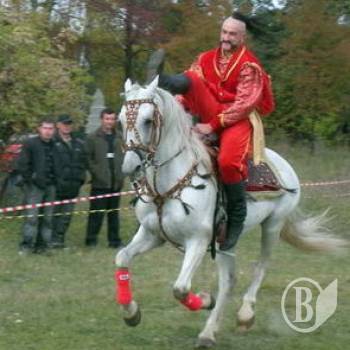 Виступ кінного театру. ФОТО Виступ кінного театру. ФОТО