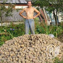 ��������� ������ �� ����������� ��������� �� 24 ������ � ����