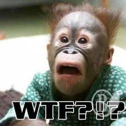 ��� �������� ��������� WTF