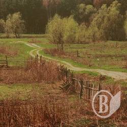 Виставка художньої фотографії «Ракурс-2010». ФОТО Виставка художньої фотографії «Ракурс-2010». ФОТО