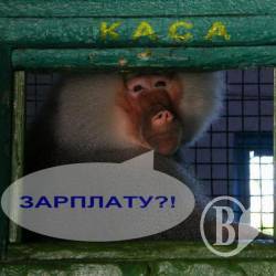 Борги із зарплат погасять за три місяці Борги із зарплат погасять за три місяці