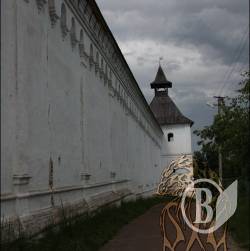    -ѳ