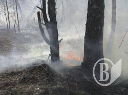На Чернігівщині надзвичайний рівень пожежної небезпеки На Чернігівщині надзвичайний рівень пожежної небезпеки