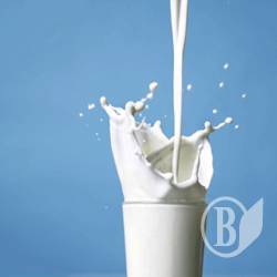 Молочна продукція зросте в ціні Молочна продукція зросте в ціні