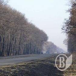 «Новорічні» автопригоди на Чернігівщині «Новорічні» автопригоди на Чернігівщині