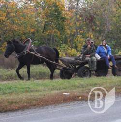Чернігівці перетворються на кочівників Чернігівці перетворються на кочівників