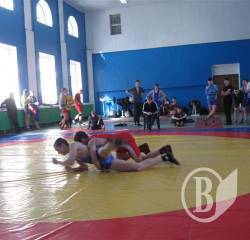 Спортивний врожай щорсівчан Спортивний врожай щорсівчан