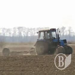 Куликівці вже сіють Куликівці вже сіють