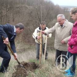 У Любечі посадили 200 горіхів У Любечі посадили 200 горіхів