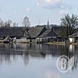 Не злетимо, так поплаваємо? Кульбіда знову щось пророкує Не злетимо, так поплаваємо? Кульбіда знову щось пророкує