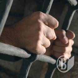 УНП про спецдільниці: влада знову щось мудрує... УНП про спецдільниці: влада знову щось мудрує...