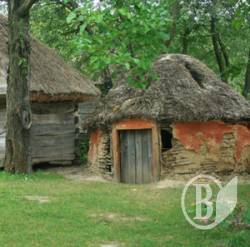 Сулгуні… із клуні в Київ Сулгуні… із клуні в Київ