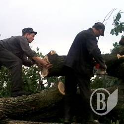 Військові проти буревію, але за порядок Військові проти буревію, але за порядок