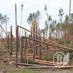 Лісівники борються із наслідками буревію Лісівники борються із наслідками буревію