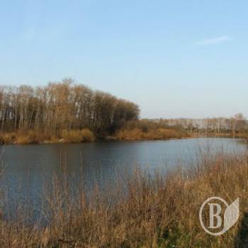 � �������� �������� ����