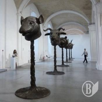 ARSENALE-2012   30  (-, )