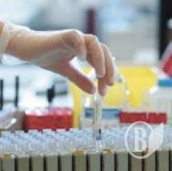 Свято вірусних гепатитів Свято вірусних гепатитів
