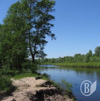 ��� ������ ���� �� �������