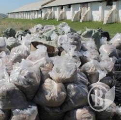 Чернігівщина за 3 тижні позбавиться пестицидів (фото) Чернігівщина за 3 тижні позбавиться пестицидів (фото)