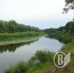 Смирнов загинув купаючись Смирнов загинув купаючись